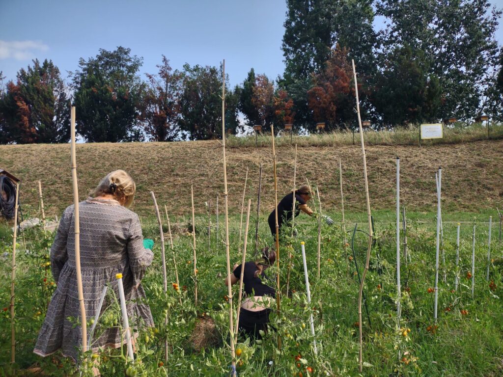 cittadini attivi in orto