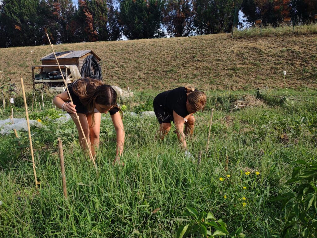 Rosanna e Annamaria in orto